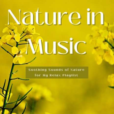 Nature in Music ft. Amanda Bray
