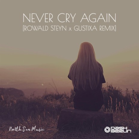 Never Cry Again (Rowald Steyn & Gustixa Remix) ft. Rowald Steyn & Gustixa | Boomplay Music