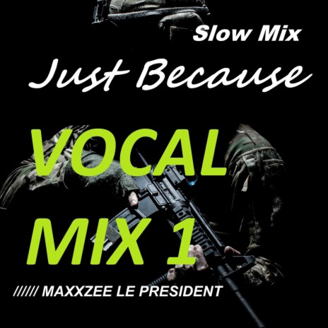 Just Because (Vocal Mix 1) [Slow Remix] | Boomplay Music