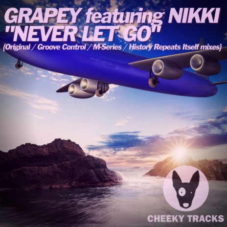 Never Let Go (History Repeats Itself Radio Edit) ft. Nikki | Boomplay Music