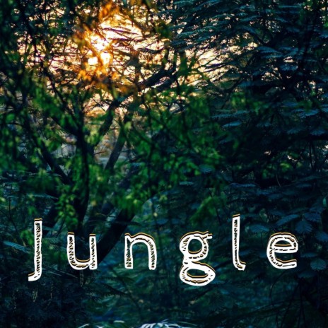 Jungle (Instrumental) | Boomplay Music
