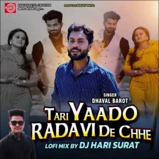 Tari Yado Radavi De Chhe (Lofi Mix)