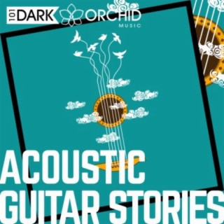 Acoustic Guitar Stories