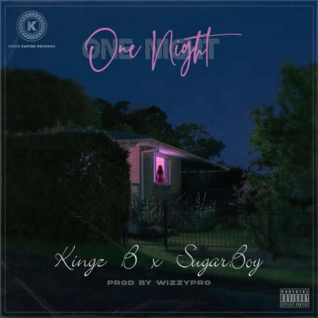 One Night ft. Sugarboy | Boomplay Music