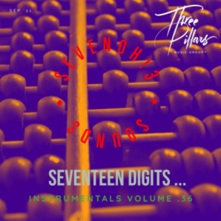 Seventeen Digits ... Instrumentals, Vol. 36 (Instrumental)