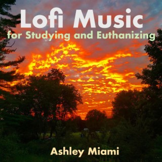 Lofi Music for Studying and Euthanizing