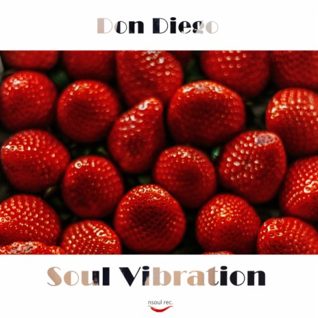 Soul Vibration (Original Mix) | Boomplay Music