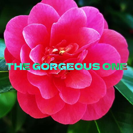 The Gorgeous One | Boomplay Music