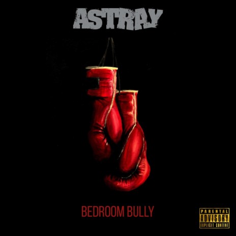 Bedroom Bully | Boomplay Music