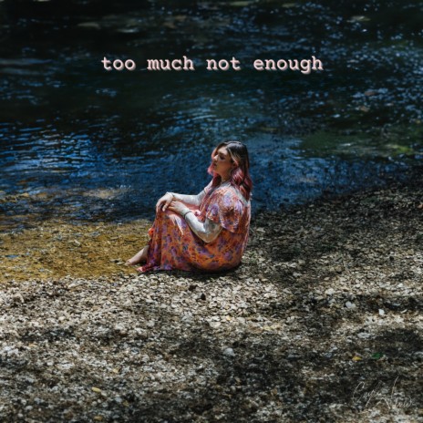 too much not enough | Boomplay Music