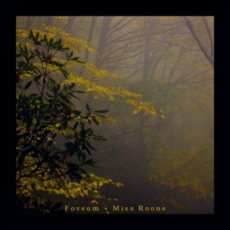 Foveam | Boomplay Music