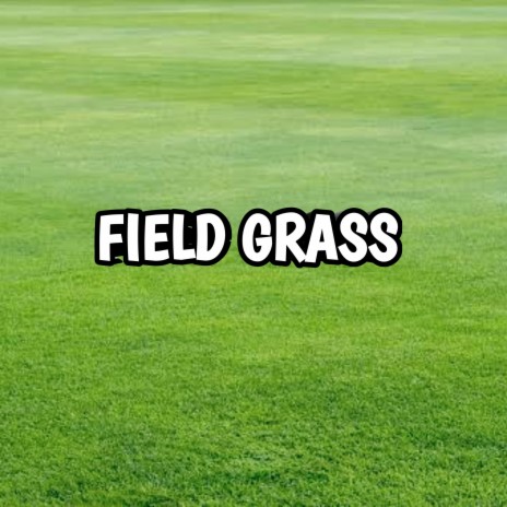 Field Grass | Boomplay Music