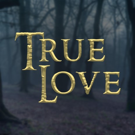 True Love | Boomplay Music