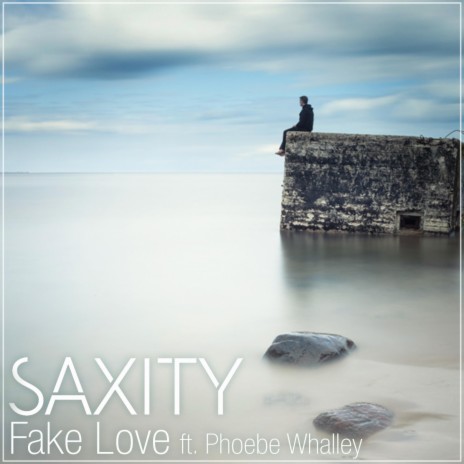 Fake Love (feat. Phoebe Whalley) | Boomplay Music