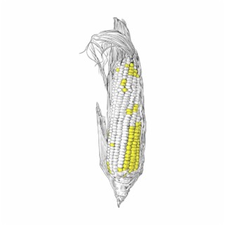 its corn lofi