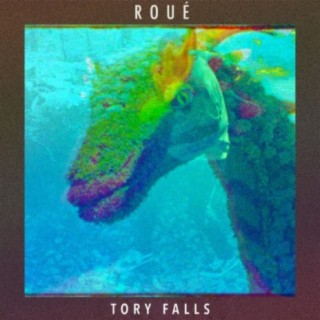 Tory Falls