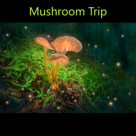 Mushroom Trip | Boomplay Music
