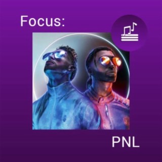 Focus: PNL