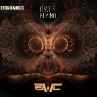 Owls Flying