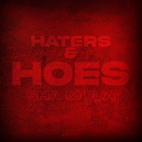 Haters & Hoes | Boomplay Music