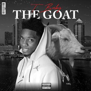 Tbaby the goat