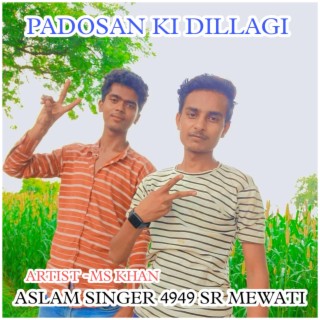 Aslam Singer 4949 Mewati