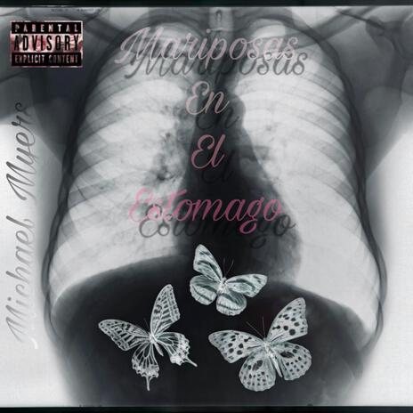 Mariposas en el Estomago | Boomplay Music