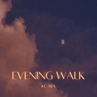 Evening Walk lyrics | Boomplay Music