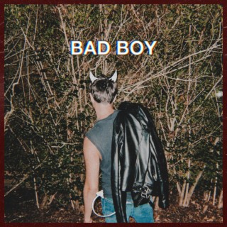 BAD BOY lyrics | Boomplay Music