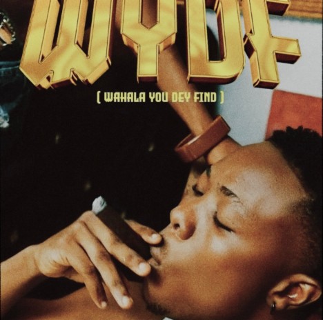 WYDF (Wahala You Dey Find) | Boomplay Music