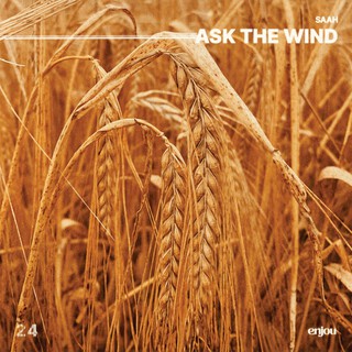 ask the wind