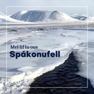 Spákonufell (the single)