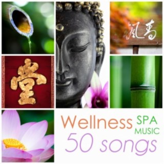 Wellness Spa Music: Beauty Center Calming Background Ambient Collection, 50 Songs