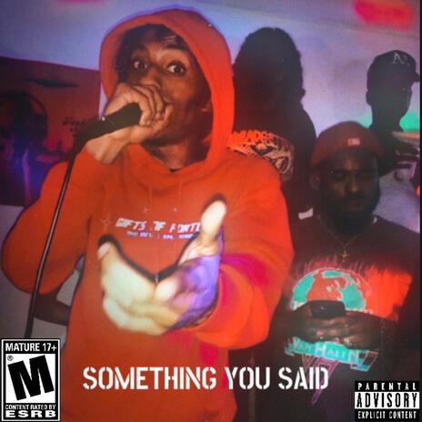 Something You Said | Boomplay Music