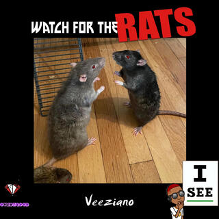 Watch the Rats