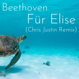 Beethoven Für Elise (Tropical House Remix)