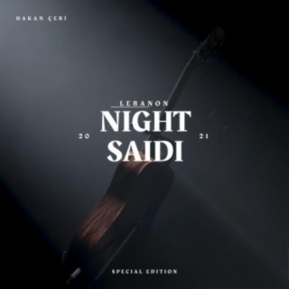 Lebanon Night Saidi