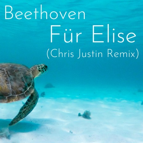 Beethoven Für Elise (Tropical House Remix) | Boomplay Music