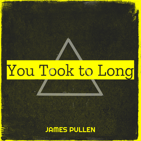 You Took to Long | Boomplay Music