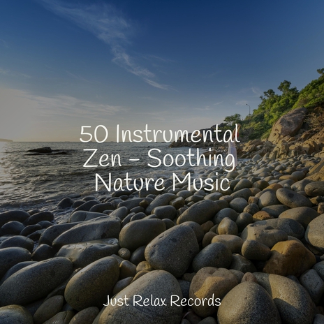 Majestic Mind Symphony ft. Reiki Music & Música Zen Relaxante | Boomplay Music