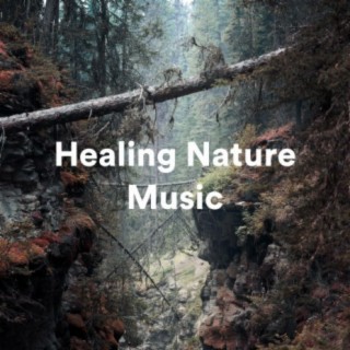 Healing Nature Music