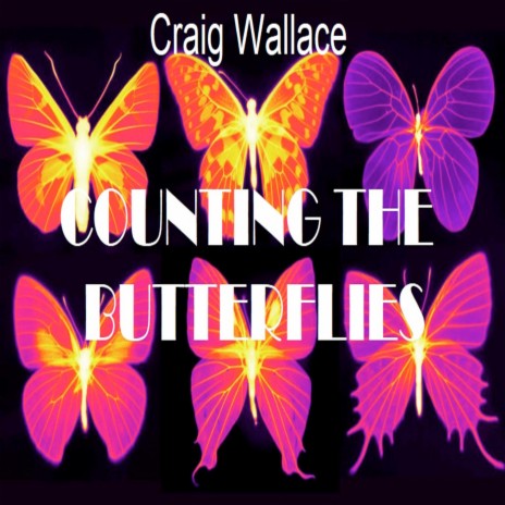 Counting The Butterflies | Boomplay Music