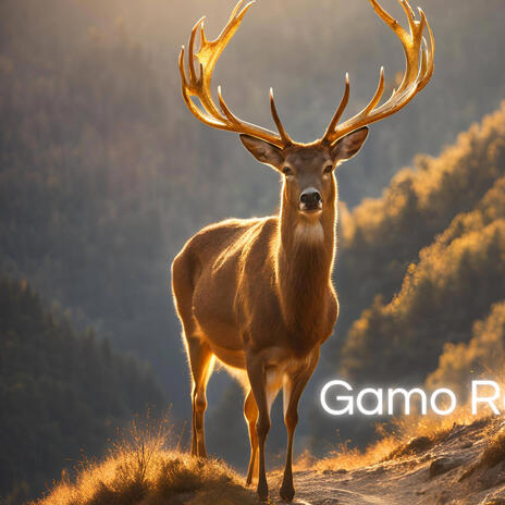 Gamo Rei | Boomplay Music