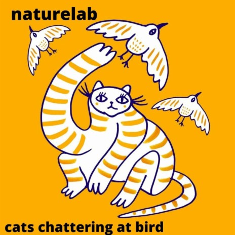 Cats Chattering At Bird | Boomplay Music
