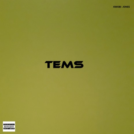 Tems | Boomplay Music