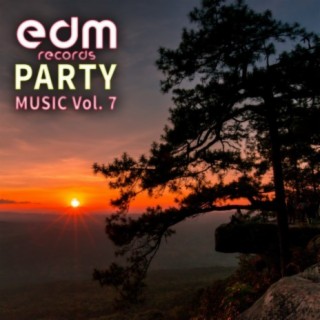 Edm Records Party Music, Vol. 7 (Dj Mixed)