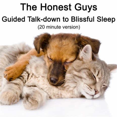 Guided Talkdown to Blissful Sleep (20 Minute Version) | Boomplay Music