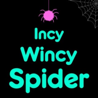 Incy Wincy Spider