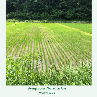 Symphony No. 15 in Gm