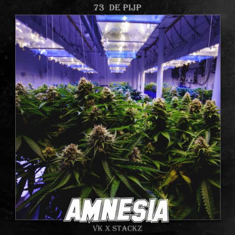 Amnesia ft. Stackz & 73 de pijp | Boomplay Music